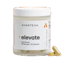 elevate